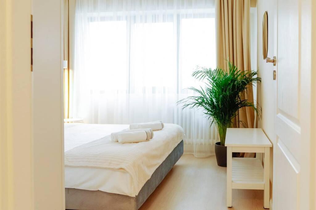 Elegant Vibes Apartment Next To Obor Market Bukarest Exterior foto
