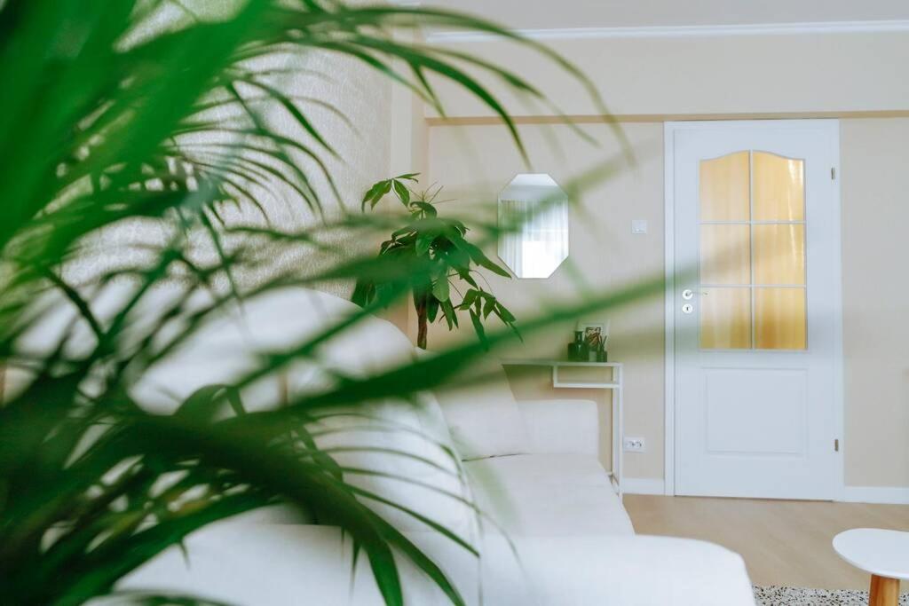 Elegant Vibes Apartment Next To Obor Market Bukarest Exterior foto